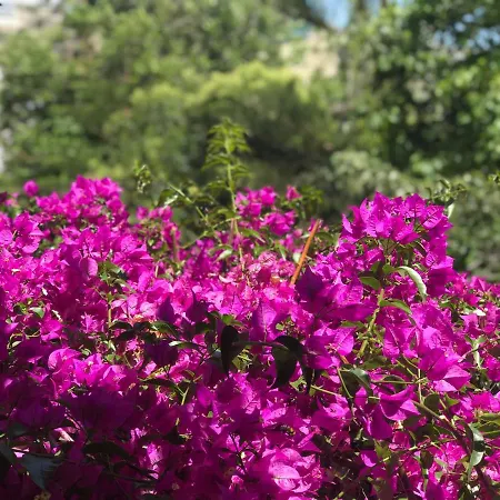 Tatzati 3* סרנדה